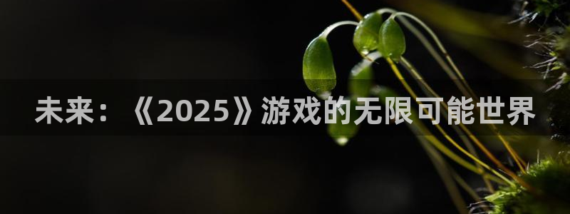 亿万28官网主管他494o3 主管：未来：《2025》游戏的无限可能世界