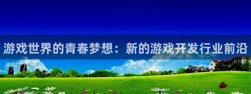 亿万28子经理人一共出了多少本：游戏世界的青春梦想：新的游戏开发行业前沿