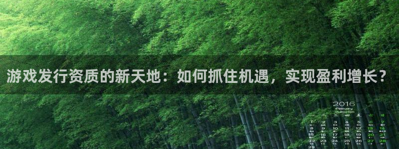 亿万28技术有限公司官网：游戏发行资质的新天地：如何抓住机遇，实现盈利增长？