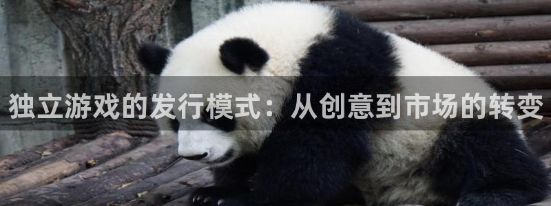亿万28电商怎么样知乎：独立游戏的发行模式：从创意到市场的转变