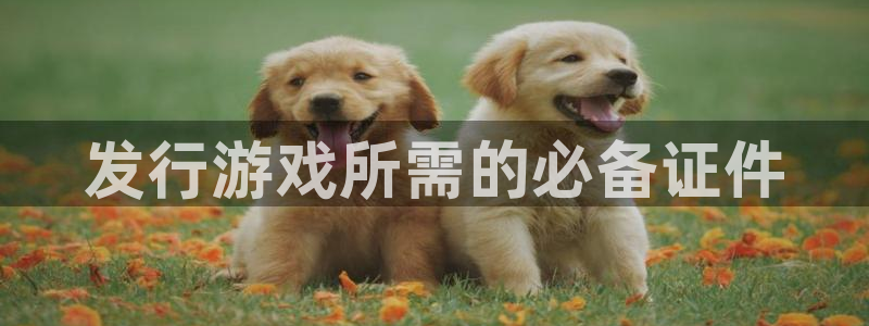 亿万28logo：发行游戏所需的必备证件