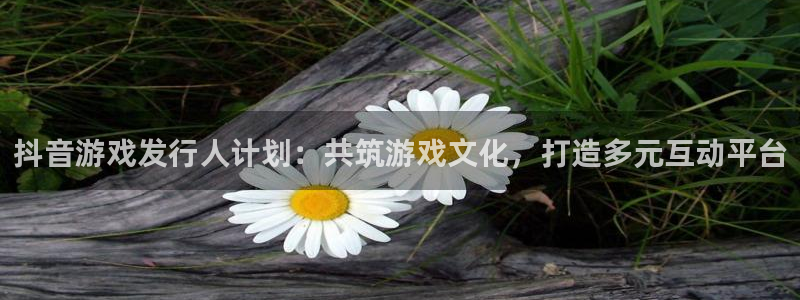 亿万28子怎么来的：抖音游戏发行人计划：共筑游戏文化，打造多元互动平台