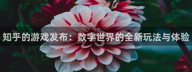 陕西亿万28子文化创意有限公司1：知乎的游戏发布：数字世界的全新玩法与体验
