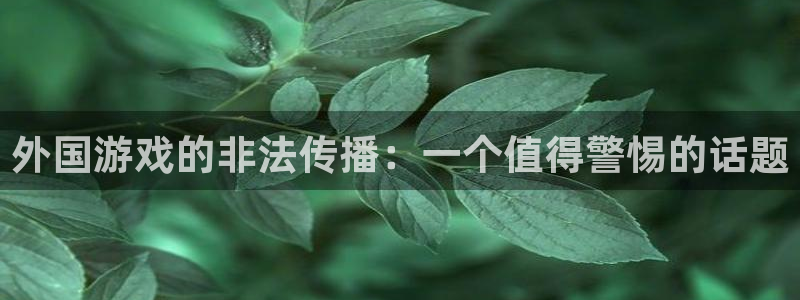 亿万28注册开户：外国游戏的非法传播：一个值得警惕的话题