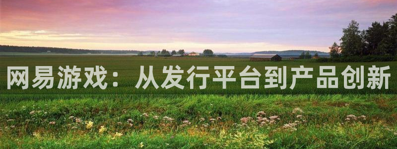 亿万28集团有限公司：网易游戏：从发行平台到产品创新