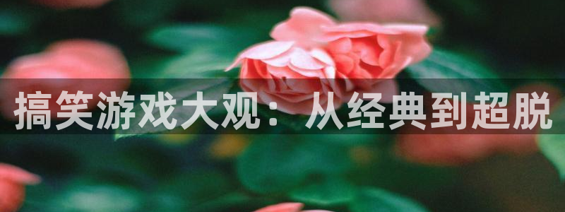 亿万28官网登录注册账号安全吗：搞笑游戏大观：从经典到超脱