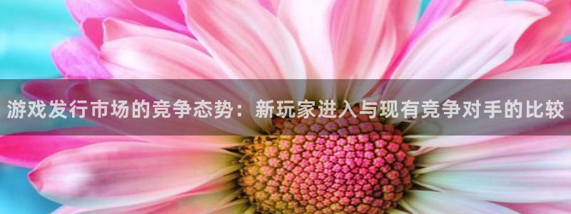 亿万28官网平台怎么样啊：游戏发行市场的竞争态势：新玩家进入与现有竞争对手的比较
