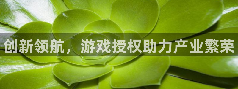 亿万28官网客服电话是多少：创新领航，游戏授权助力产业繁荣