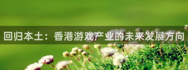 亿万28电子科技：回归本土：香港游戏产业的未来发展方向