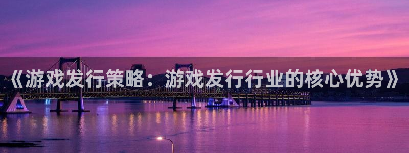 亿万28工坊：《游戏发行策略：游戏发行行业的核心优势》