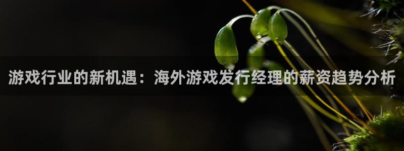 亿万28子书店：游戏行业的新机遇：海外游戏发行经理的薪资趋势分析