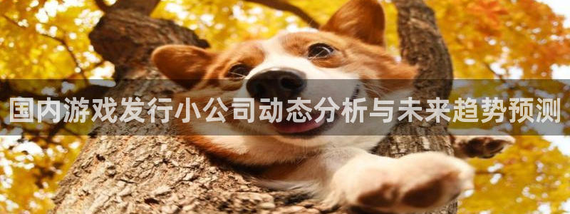亿万28子的图片：国内游戏发行小公司动态分析与未来趋势预测