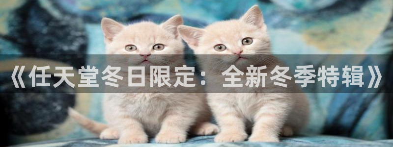 亿万28子猫图片：《任天堂冬日限定：全新冬季特辑》