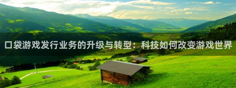 亿万28品牌：口袋游戏发行业务的升级与转型：科技如何改变游戏世界