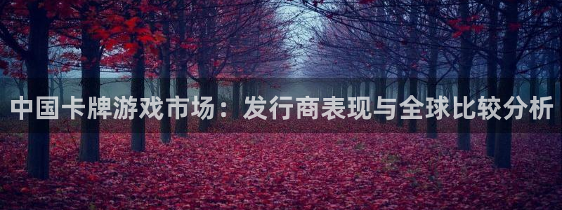 亿万28官网注册平台是什么软件：中国卡牌游戏市场：发行商表现与全球比较分析