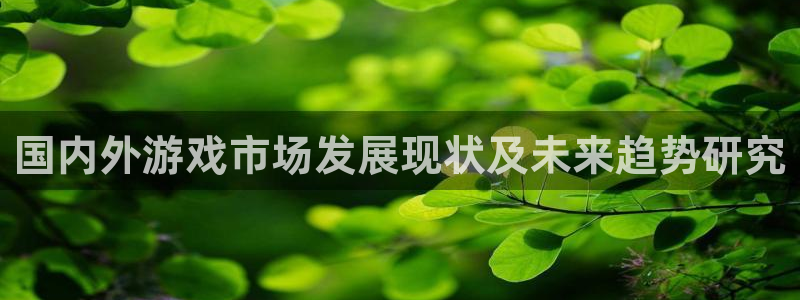 亿万28子经理人